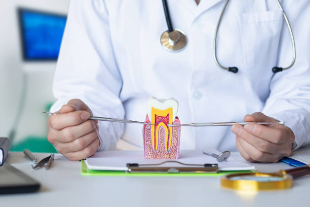 Best Emergency Gum Treatment in Dunlap, OH